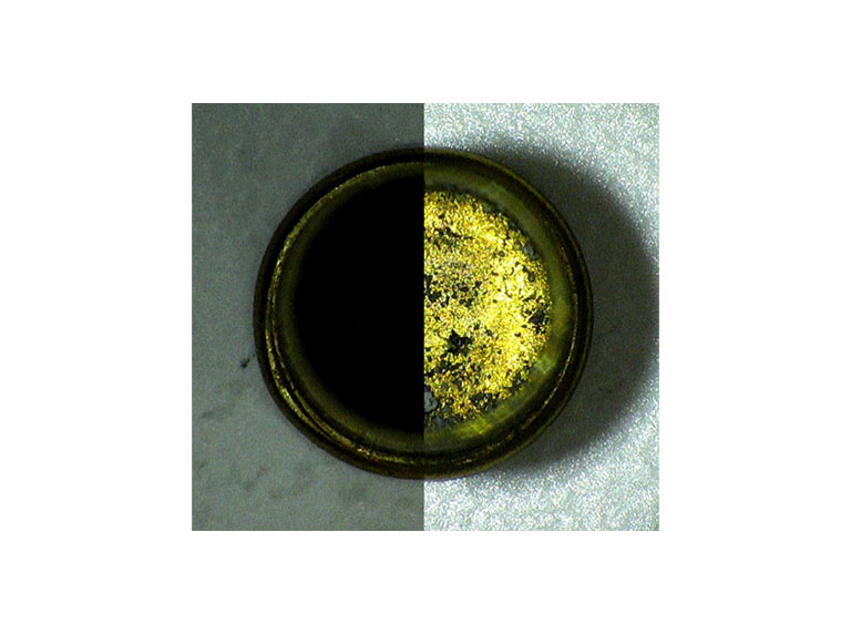Inspección de pozos con iluminador episcópico de microscopio Mantis