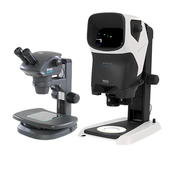 Gamme de stéréomicroscopes: SX45 and Mantis PIXO