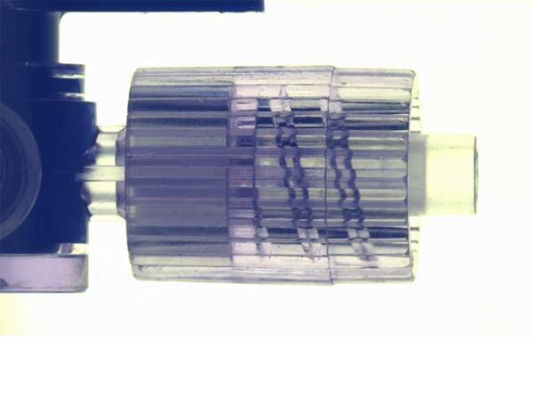 sample under sub stage illumination 600×447 1 muestra bajo la iluminación de la platina